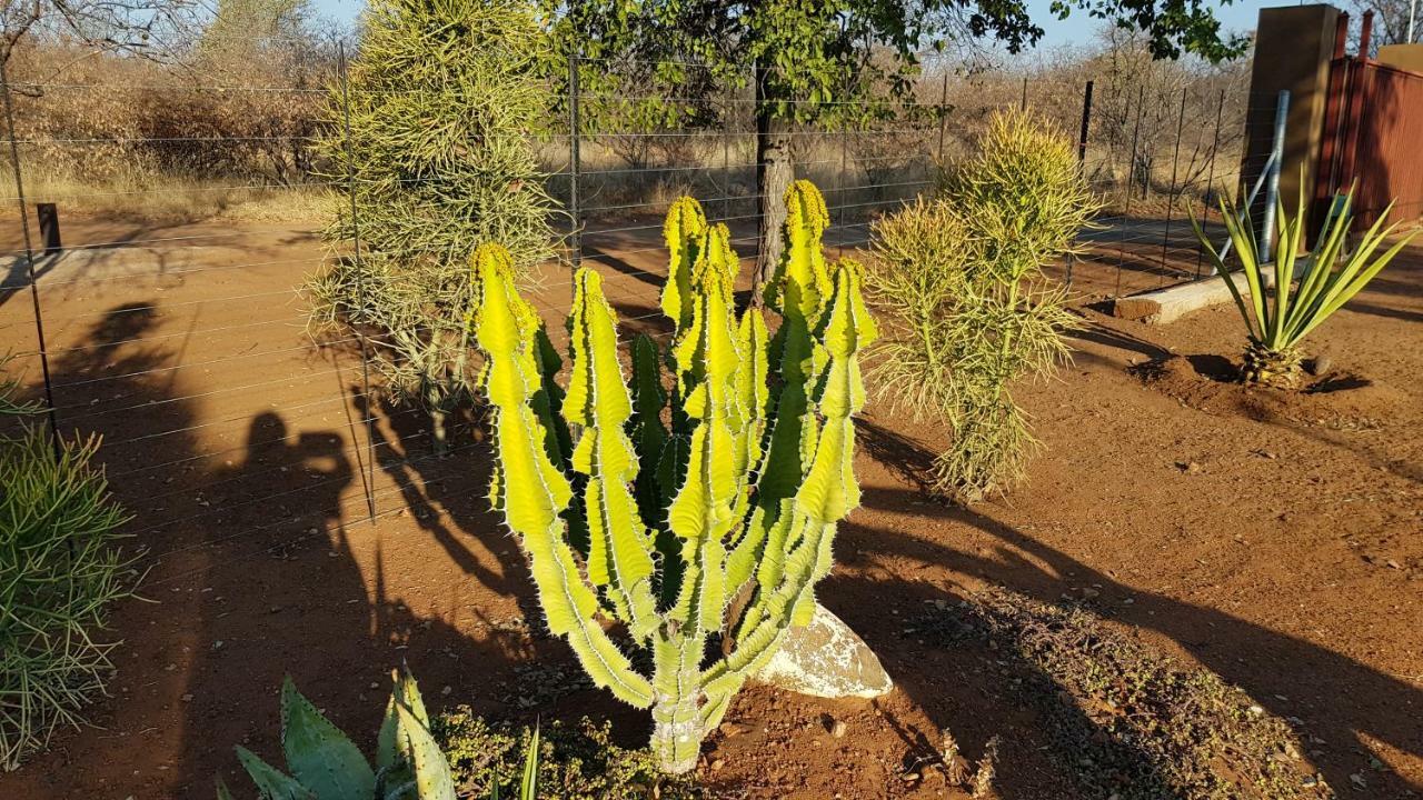 Hornbills Rest Country Home Phalaborwa Esterno foto