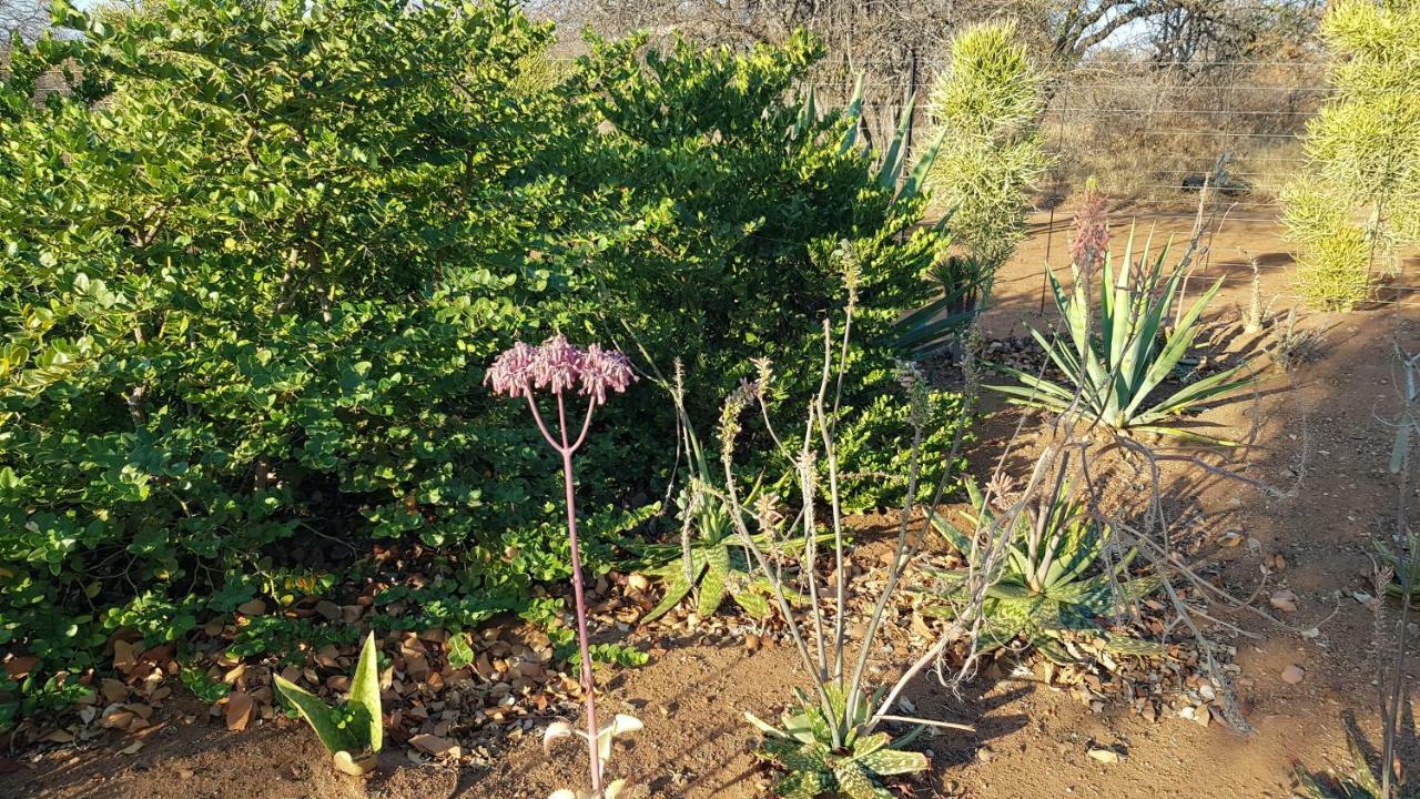 Hornbills Rest Country Home Phalaborwa Esterno foto